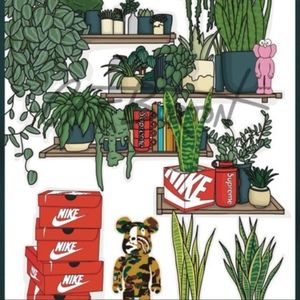 Meet your Posher, Anhad